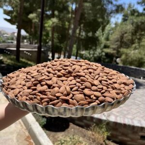 مغز بادام زرین