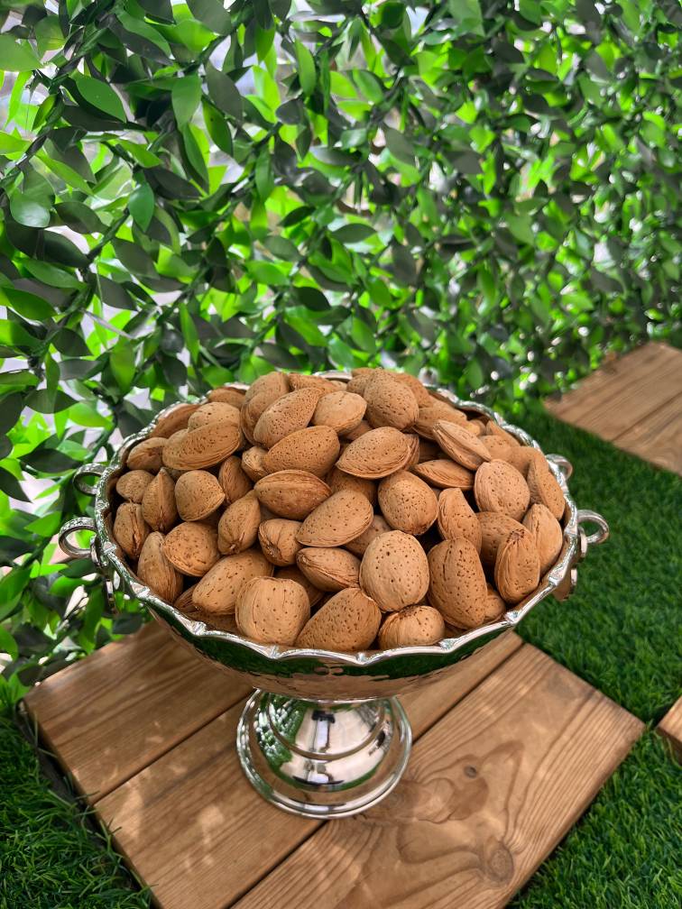 بادام سنگی